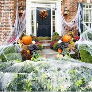 New Halloween Outdoor Decor with Spider Webs